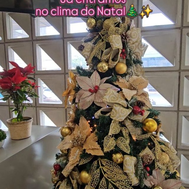 Já estamos no clima do Natal! 🎄✨️🎇

#FederalImoveis #Natal #Goiânia