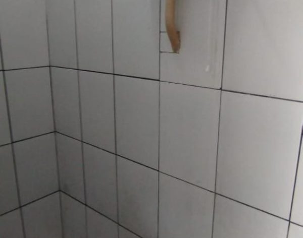 041726839220241