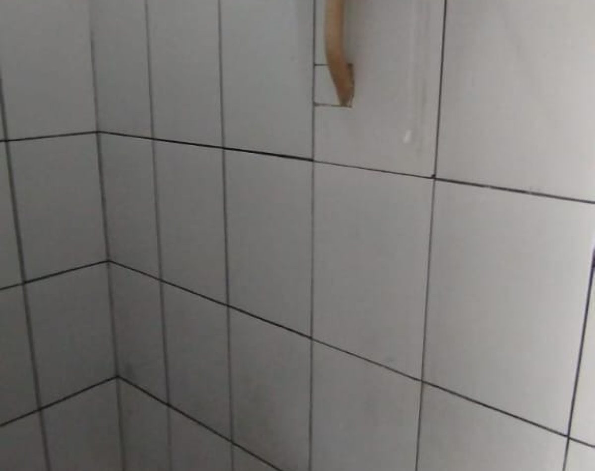 041726839220241