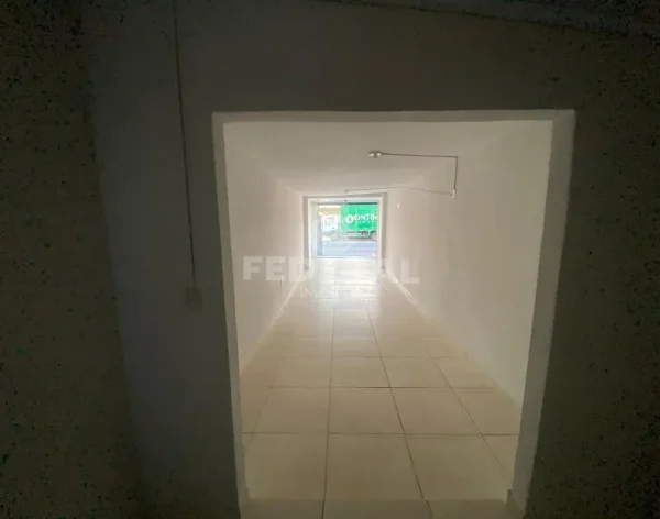 31746736711765