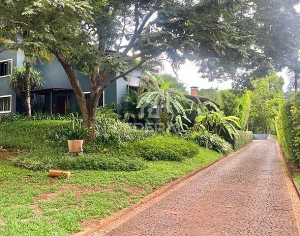 b5738217-7514-40b7-bbd5-0f6adabc9ea41764187894883-2