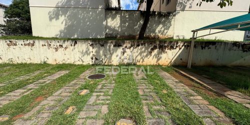 img-20250210-wa00931772634589332-1