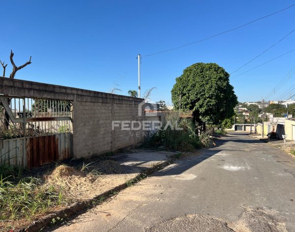 img_17011748551488796-2