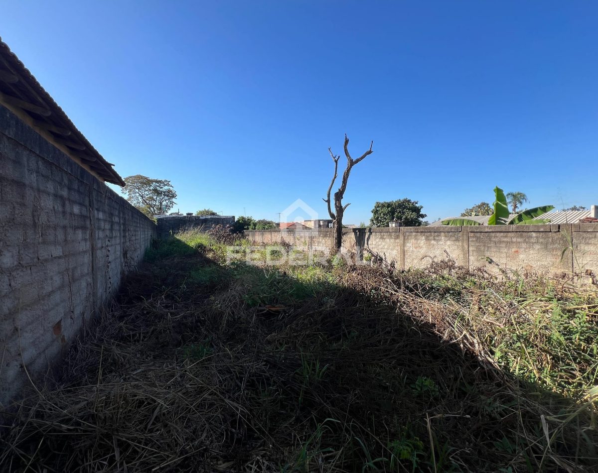 img_17031748551489017-2