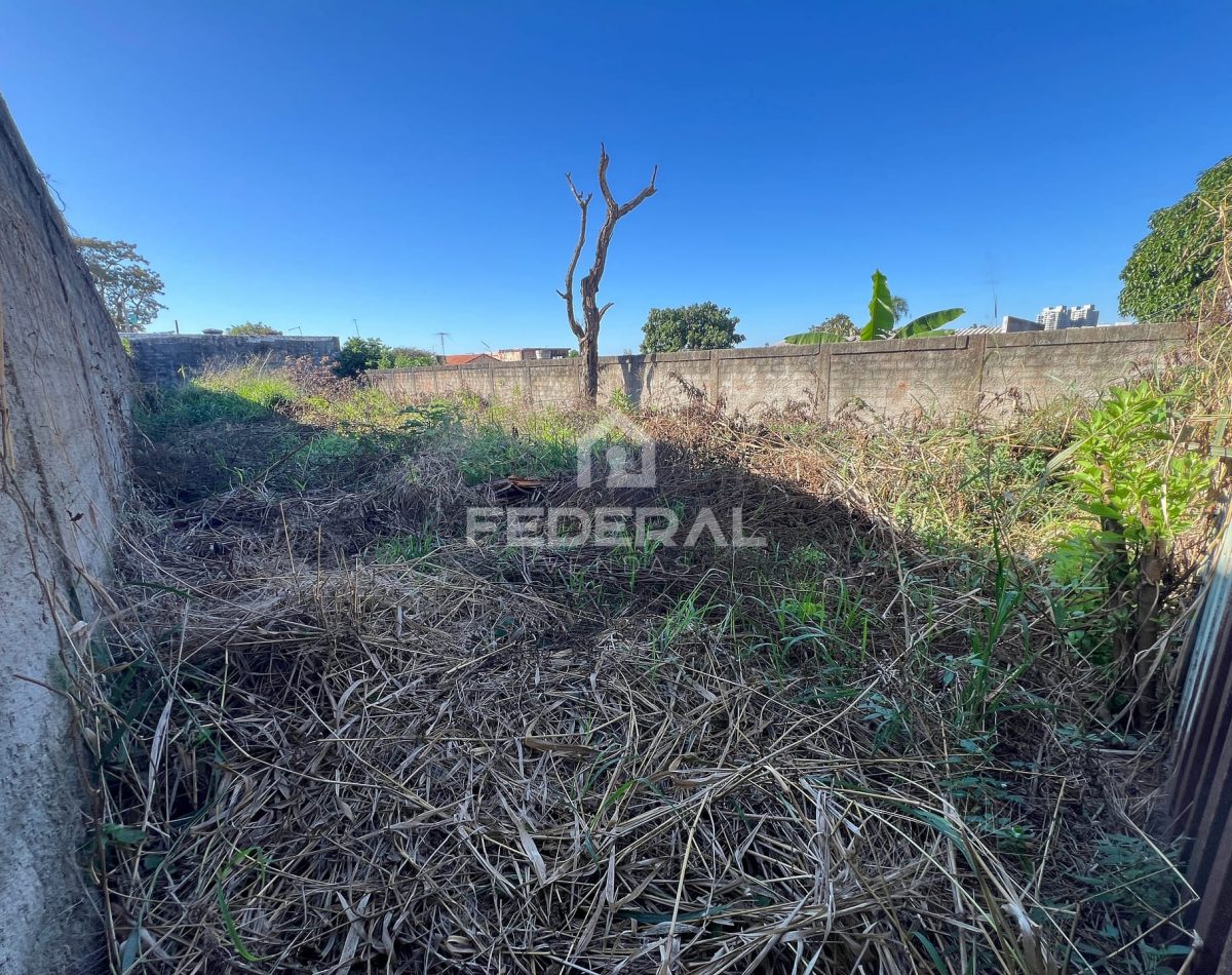 img_17041748551489031-2