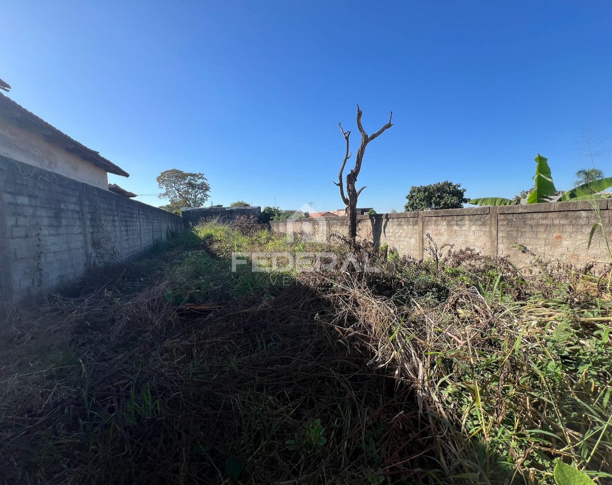 img_17051748551489020-5