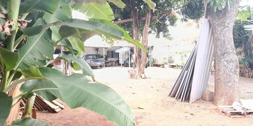 img_20251122_0814301765305480262