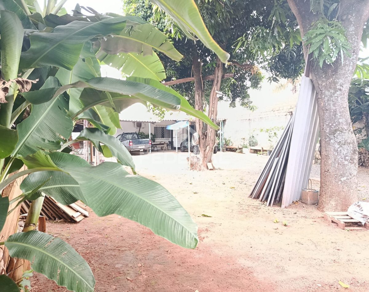 img_20251122_0814301765305480262