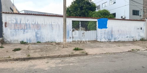 img_20251122_0828031765298087232