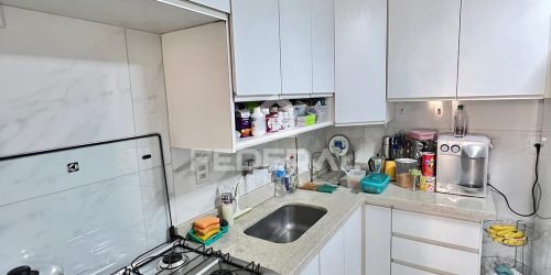 img_35361759782163341-3