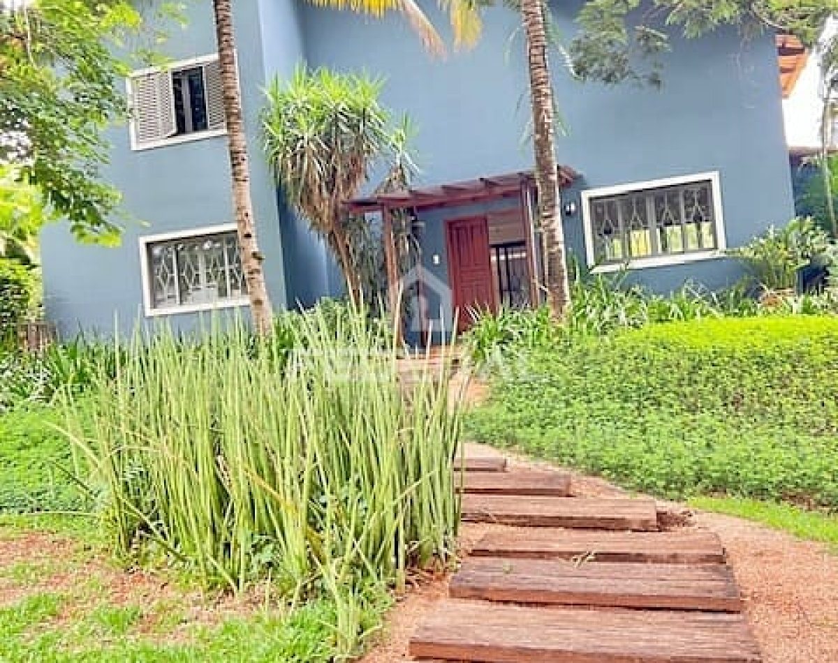 img_40971764187801640-1