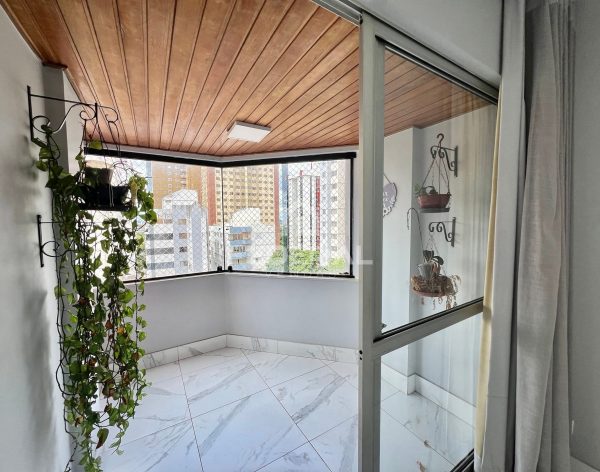 img_53251768221982912-1