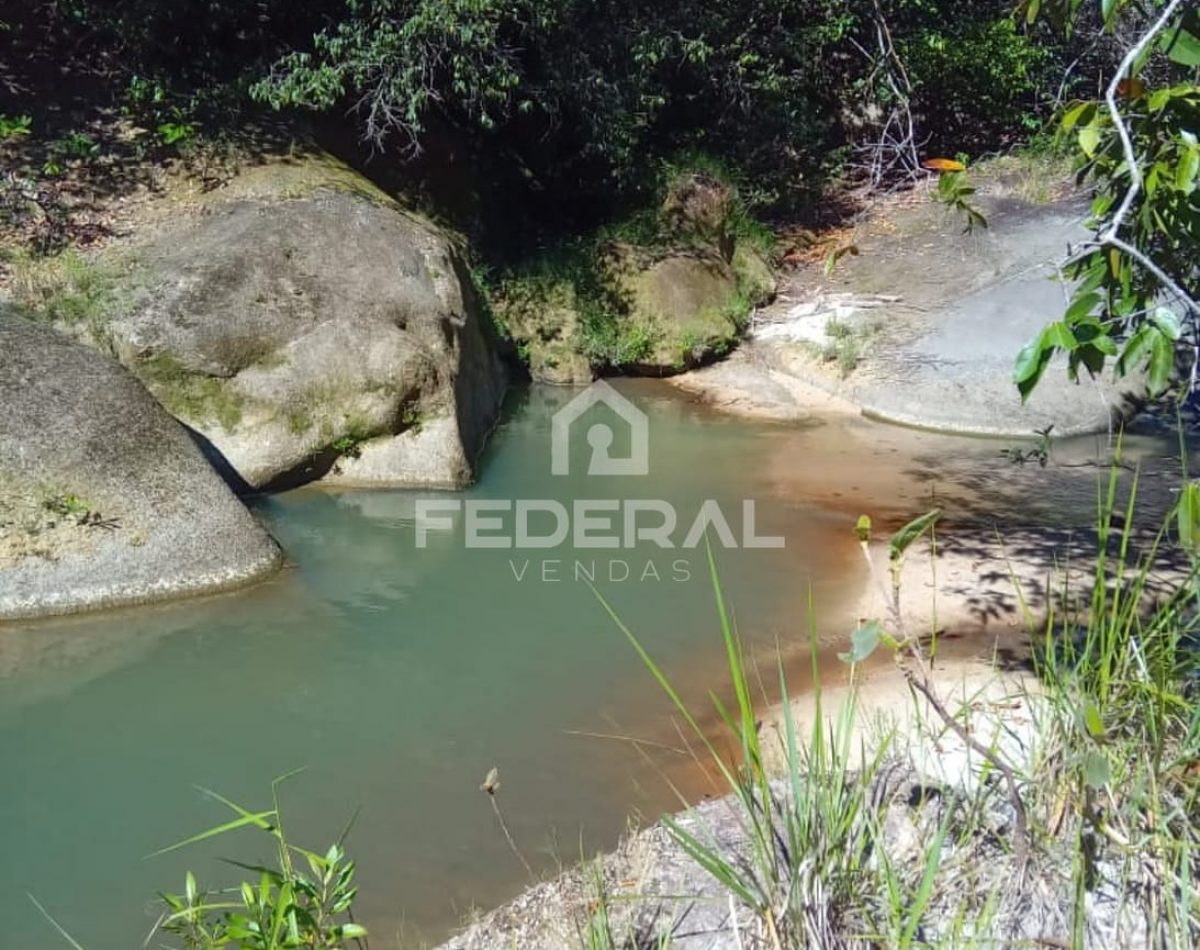 img_91311733247226856-3