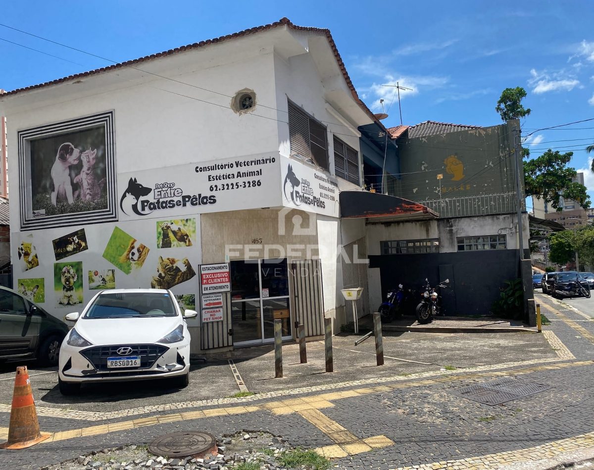 img_96651734796409661-3