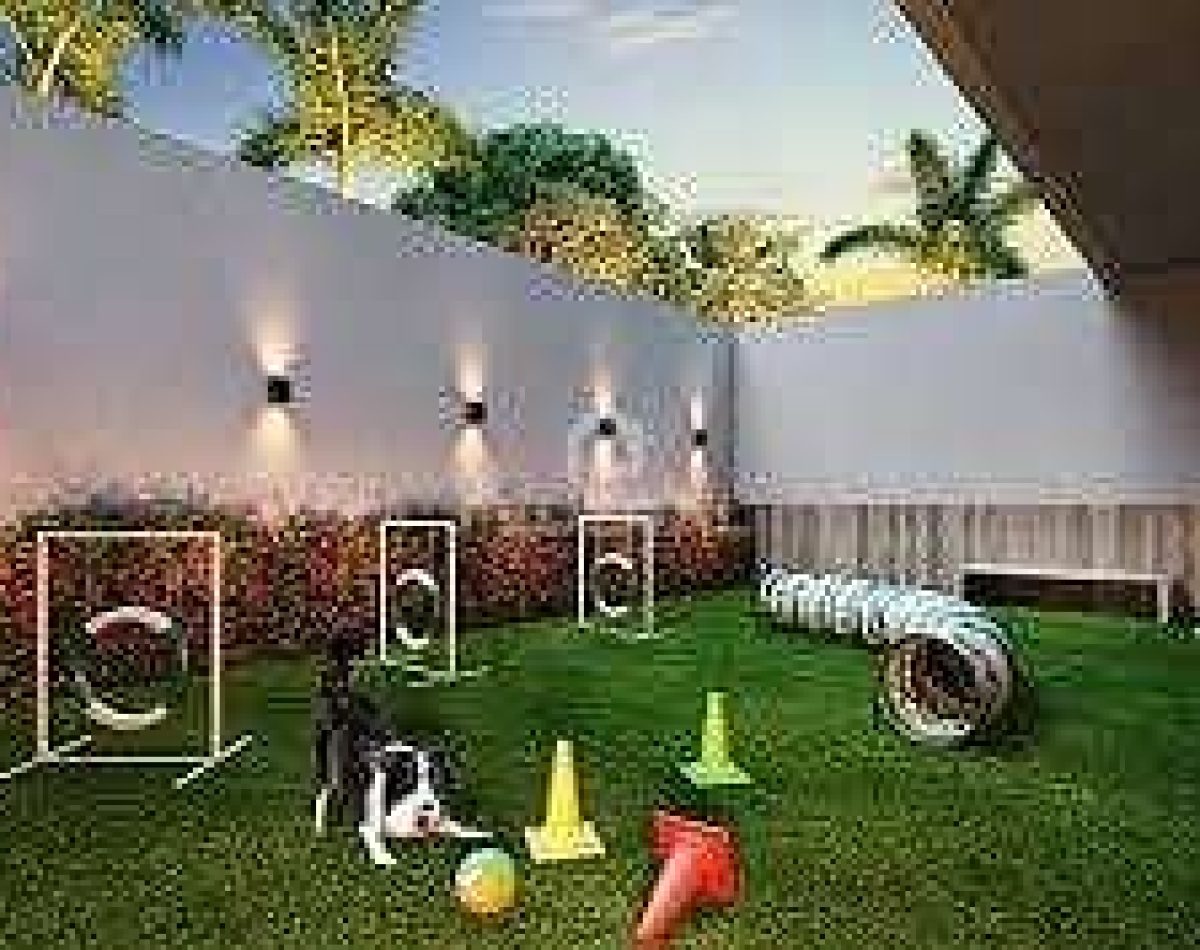 pet-place1768762535683-1