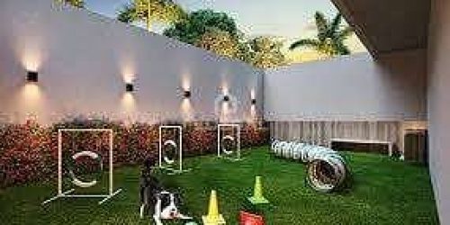 pet-place1768762535683