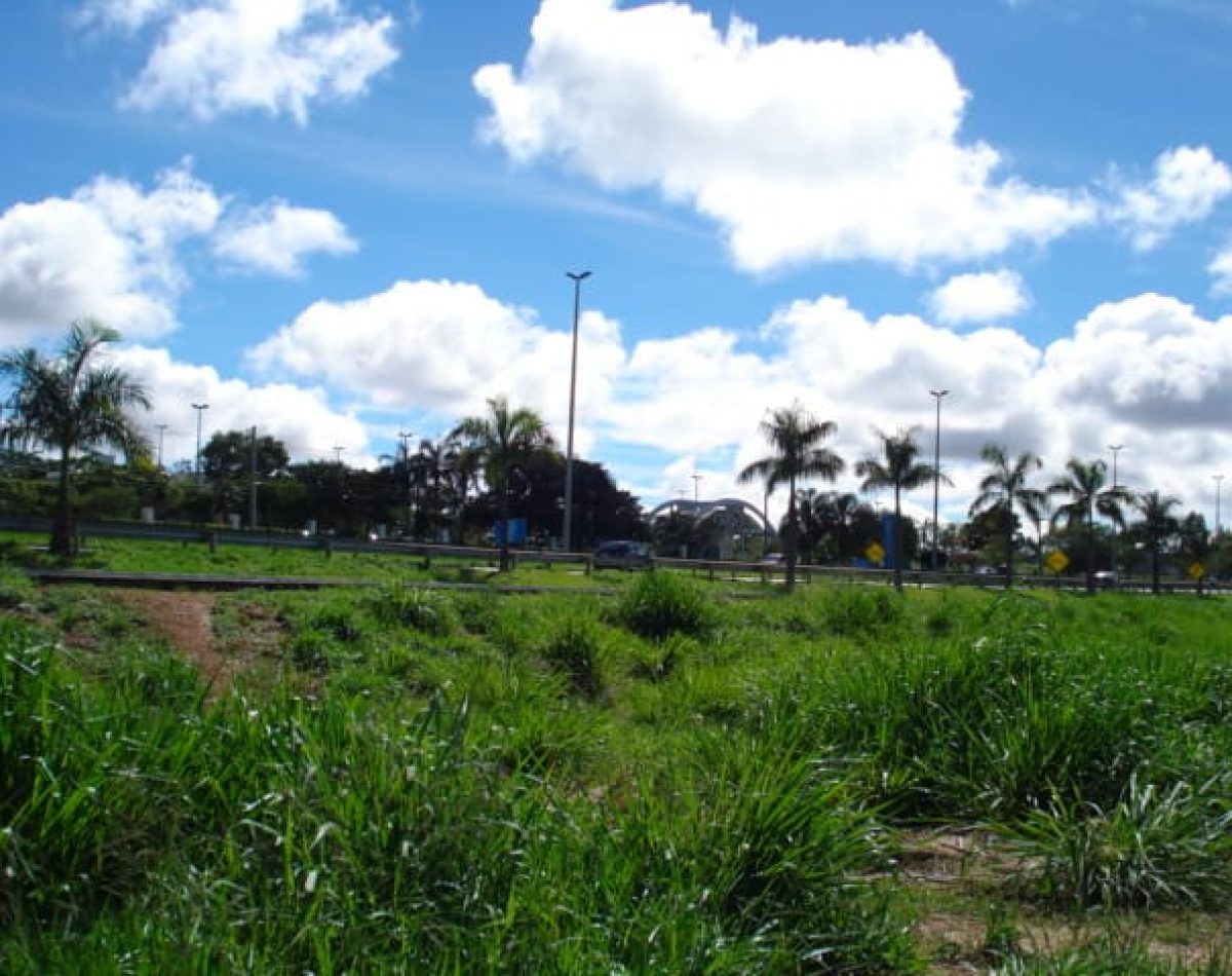 terreno-a-venda-1454m-conjunto-vera-cruz-goiania-go1714667530442usrxf
