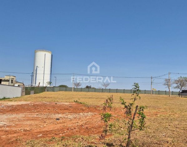 whatsapp-image-2024-11-11-at-09-14-44-11742304843459