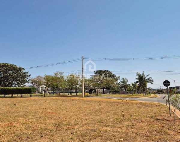 whatsapp-image-2024-11-11-at-09-14-441742304844068