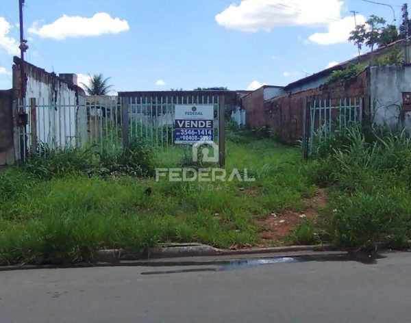 whatsapp-image-2024-12-19-at-16-26-061734637176576-3