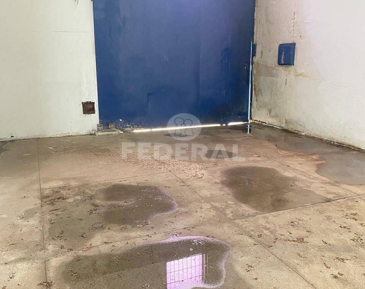 whatsapp-image-2025-01-31-at-08-32-08-131738326473055-5