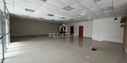 whatsapp-image-2026-02-12-at-15-16-431771610858503