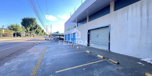 whatsapp-image-2026-02-18-at-101771610744414-1