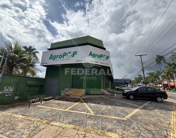 whatsapp-image-2026-03-17-at-15-37-531773778324786-1