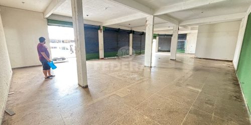 whatsapp-image-2026-03-17-at-15-37-541773778324744