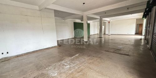 whatsapp-image-2026-03-17-at-15-37-561773778324782